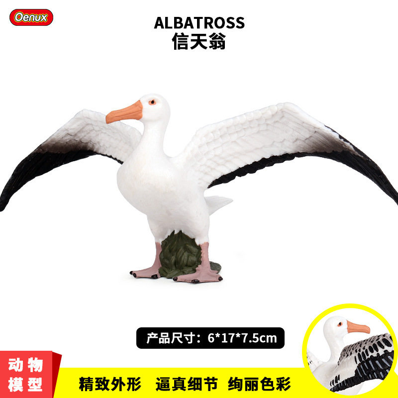 仿真静态野生动物世界模型 实心鸟类模型 信天翁儿童塑胶玩具摆件