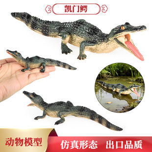 仿真鳄鱼动物模型玩具凯门鳄扬子鳄尼罗鳄野猪鳄帝鳄儿童认知摆件