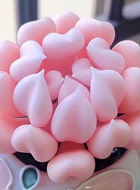 丘比特多肉植物新手盆栽花卉雪精灵办公室内肉肉绿植花卉防辐射