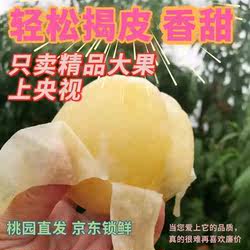 新沂水蜜桃子新鲜水果现摘白凤水蜜桃应季时令水果新鲜整箱湖景