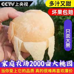 纯甜超大水蜜桃新鲜水果桃子应季水果新鲜水蜜桃5斤撕皮脆桃整箱