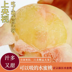 新沂水蜜桃新鲜水果现摘现发当季时令水果新鲜白凤水蜜桃软甜脆桃