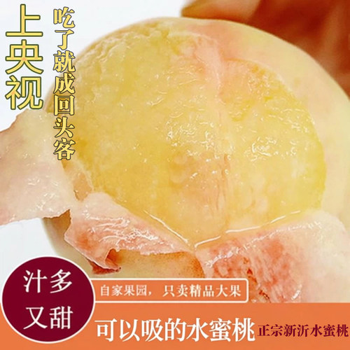 新沂水蜜桃当季水果白凤桃软甜桃