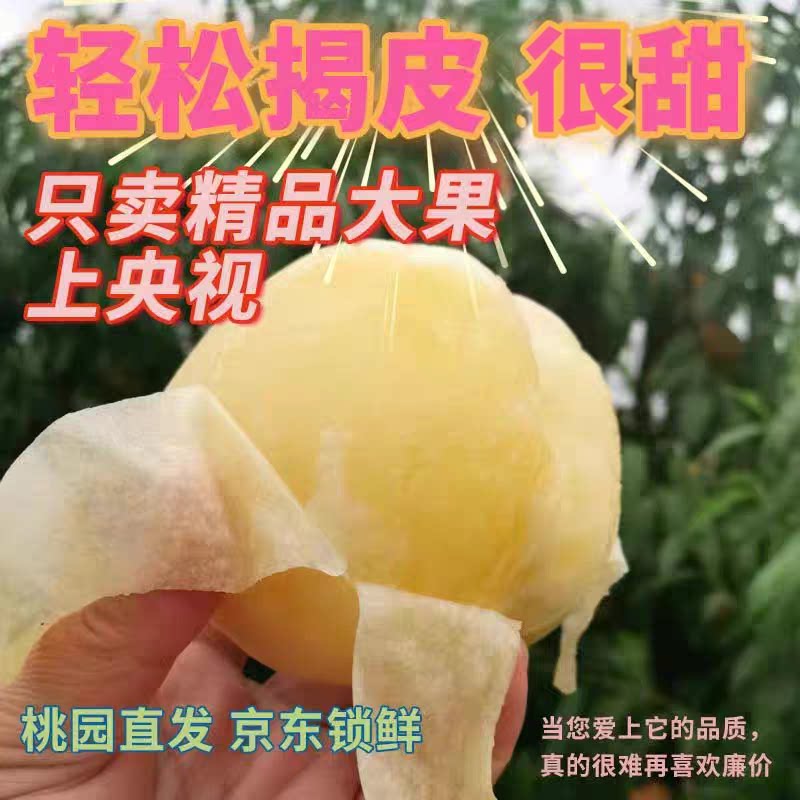 新沂水蜜桃新鲜水果应季时令水果