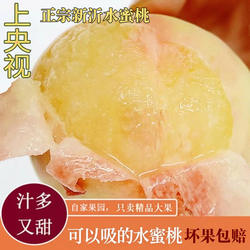 正宗新沂水蜜桃子新鲜水果整箱应当季时令毛白凤礼盒大软甜脆桃子