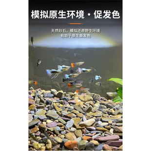天然原生态溪流石底砂鱼缸专用过滤铺地摆件火山石造景主石鹅卵石