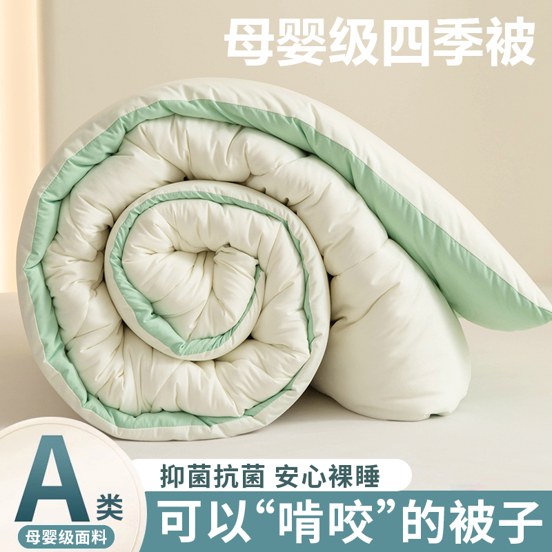 被子冬季被芯空调夏凉被2024新款春秋被四季通用加厚保暖冬被棉被