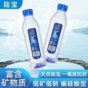 陆河特产陆宝矿泉水泡茶矿泉水富含高偏硅酸天然弱碱性矿泉水瓶装