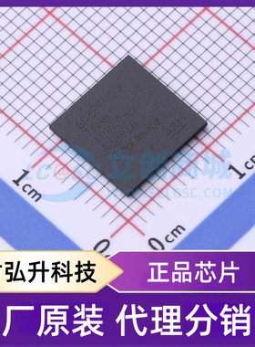 全新原装 GD32F427IGH6 封装 BGA-176 单片机(MCU/MPU/SOC)