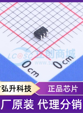 原装正品 74HC2G04GW,125 封装TSSOP-6-1.3mm 反相器