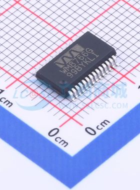 原装正品 WM8766GEDS/RV 封装SSOP-28 数模转换芯片DAC