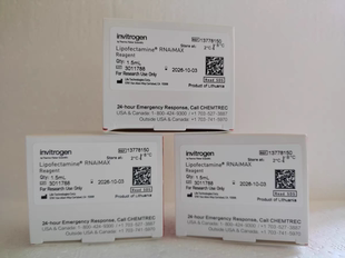 13778150 Invitrogen 转染试剂 Lipofectamine™ 1.5ml RNAiMAX