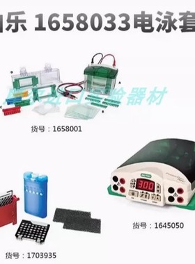 伯乐Bio-Rad电泳转印1658033垂直电泳仪1645050/1658001/1703935