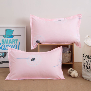 一对装枕套包邮学生大号成人男女网红卡通儿童单人用枕头罩枕芯套