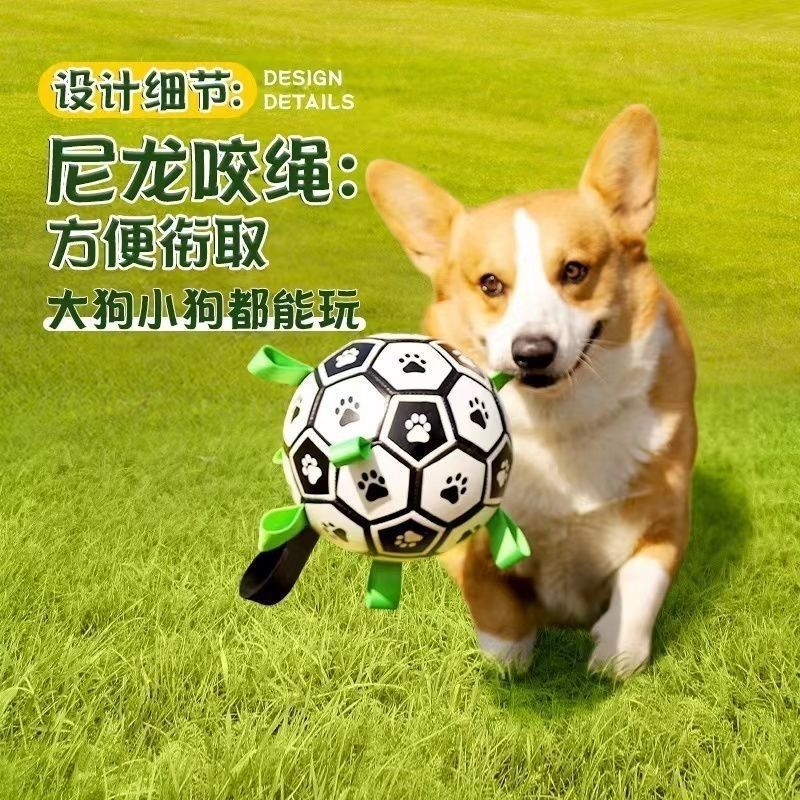 狗狗户外足球巡回训练宠物玩具