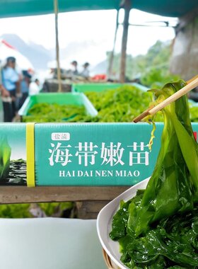 盐渍海带苗霞浦小海带特级10斤芽嫩苗新鲜麻辣烫盐渍-广东省包邮