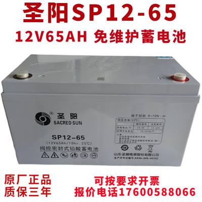 铅酸蓄电池SP12-65 12v65ah 直流屏UPS机房设备专用EPS蓄电瓶