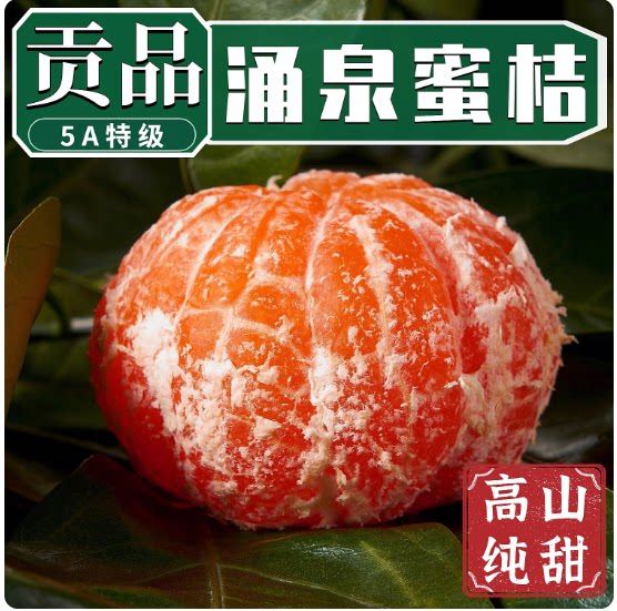 正宗临海蜜桔橘子涌泉蜜桔子新鲜水果当季5斤礼盒装无核桔薄皮甜