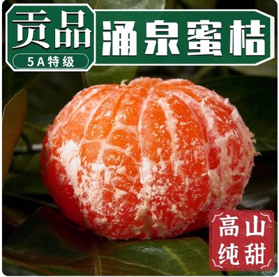 正宗临海蜜桔橘子涌泉蜜桔子新鲜水果当季5斤礼盒装无核桔薄皮甜