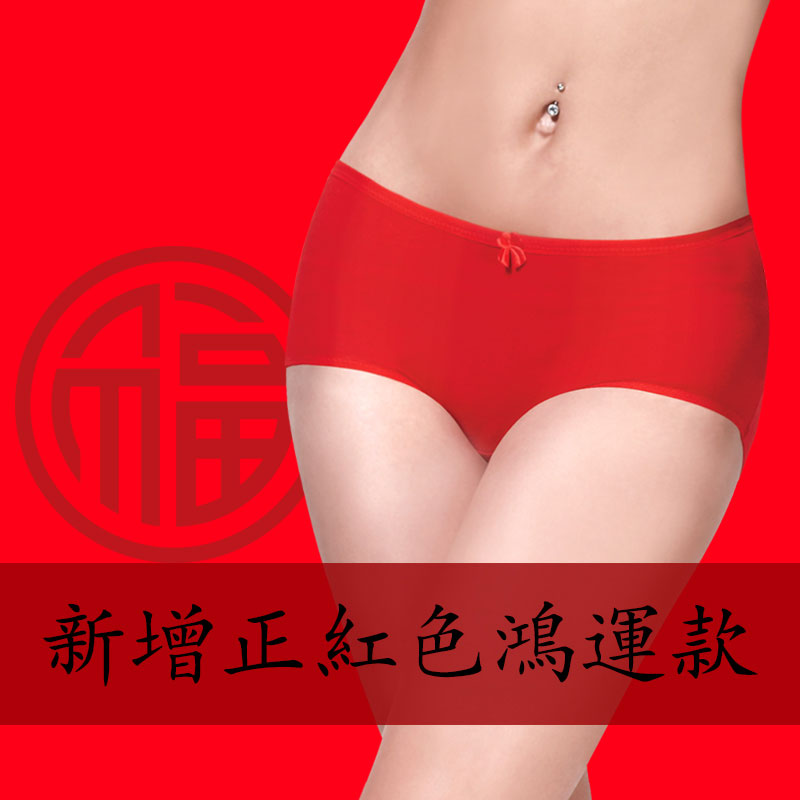 Slip jeunesse en coton - Ref 640228 Image 5