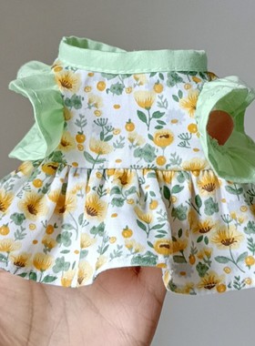 狐獴龙猫松鼠土拨鼠貂兔子浣熊黄绿色碎花裙子可定制youyou爱宠屋