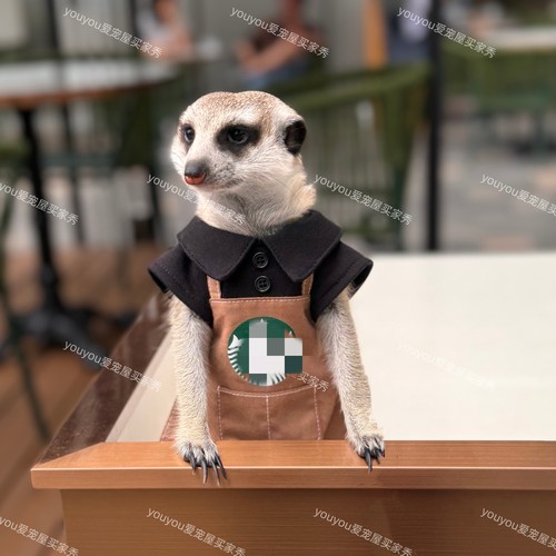 春季制服卫衣土拨鼠狐獴松鼠貂龙猫衣服可定制youyou爱宠屋