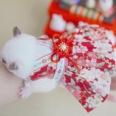 【牵引胸背衣服】蜜袋鼯原创和风狐獴黑尾土拨鼠荷兰猪貂小猴子可