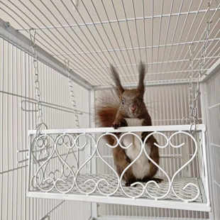 睡觉四季可用铁窝配套松鼠土拨鼠龙猫貂狐獴豚鼠宠物youyou爱宠屋