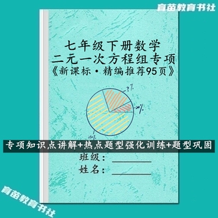 一次方程组知识点汇总热点专题专项强化训练习 七年级数学下册二元