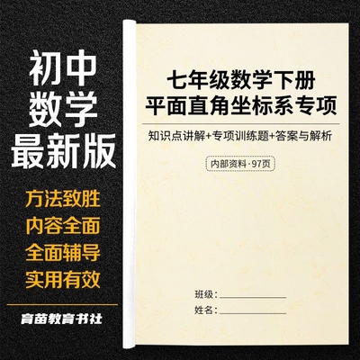 平面直角坐标系常考专项训练习本