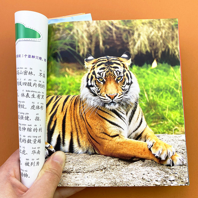 儿童动物百科全书注音版小学生一二三年级课外书籍带拼音少儿科普馆