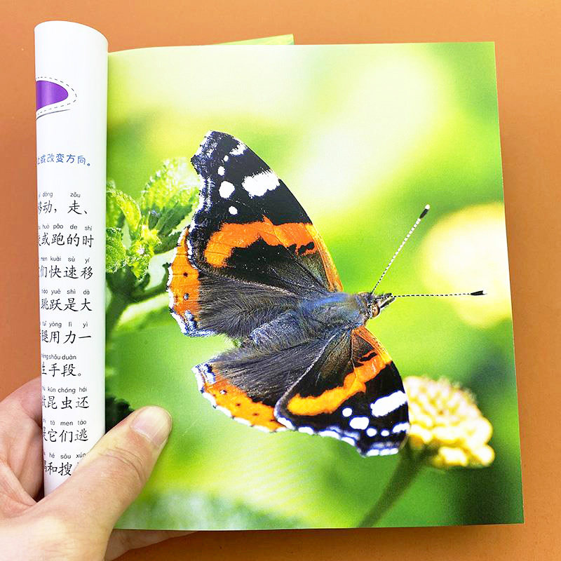 昆虫的书昆虫百科全书识别图鉴小学生课外阅读科普读物昆虫世界历险记