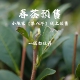 2026年春茶预售 盒 陈孝金福鼎白茶明前一级白牡丹日晒炭焙500克