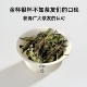 陈孝金磻溪2025年春季 一级寿眉正宗福鼎白茶花香清甜醇厚鲜爽