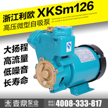 浙江LEO利欧水泵XKSm126 高压自吸泵 家庭生活增压 井下提水 125W