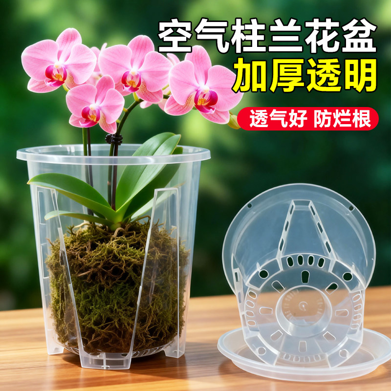 水苔蝴蝶兰专用花盆透明青山控根盆加厚大号透气兰花塑料花盆家用图片