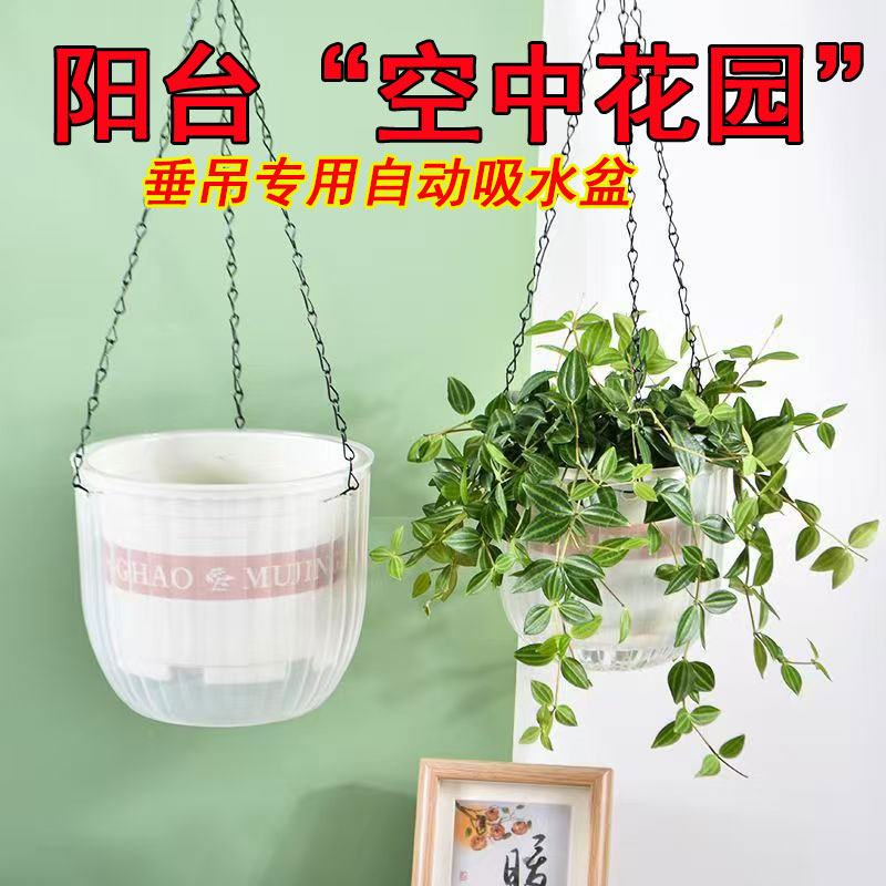 悬挂式吊篮花盆绿萝垂吊兰透明塑料花盆霸王蕨自吸水懒人水培花盆