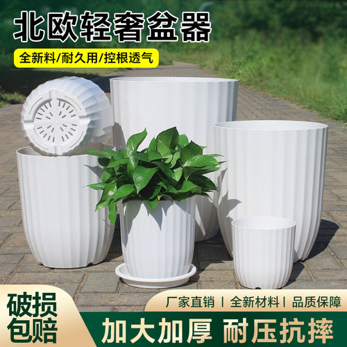 大口径花盆轻奢高级感花盆家用大号室内客厅简约塑料盆栽盆天堂鸟 - 封面