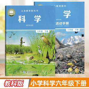 2025用教科版 社教科书6下教材六下学生用书 小学科学六年级下册学生课本学生活动手册北京教育科学出版