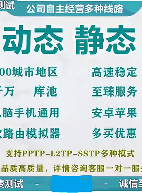 国内静态服务器网络L2TP电脑手机PPTP地址安卓苹果动态模拟器软件