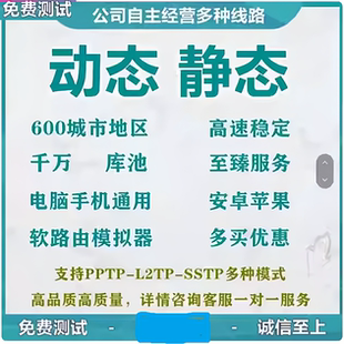 国内静态服务器网络L2TP电脑手机PPTP地址安卓苹果动态模拟器软件
