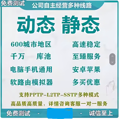 国内静态服务器网络L2TP电脑手机PPTP地址安卓苹果动态模拟器软件