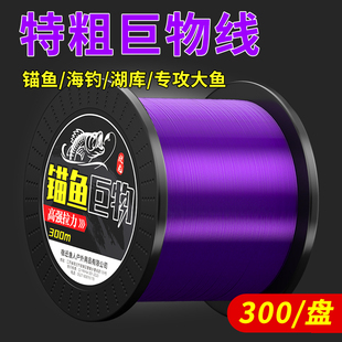 大物巨物鱼线防咬耐磨大号鱼线海钓强拉力主线钓鱼线草鱼鲢鳙专用