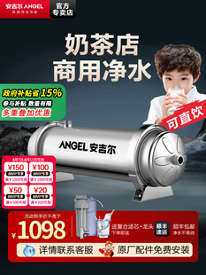 政府补贴安吉尔净水器不锈钢大流量家用厨房奶茶店制冰机商用超滤