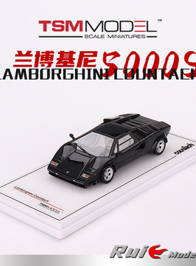 预1:43 TSM兰博基尼Lamborghini Countach 5000S树脂仿真汽车模型
