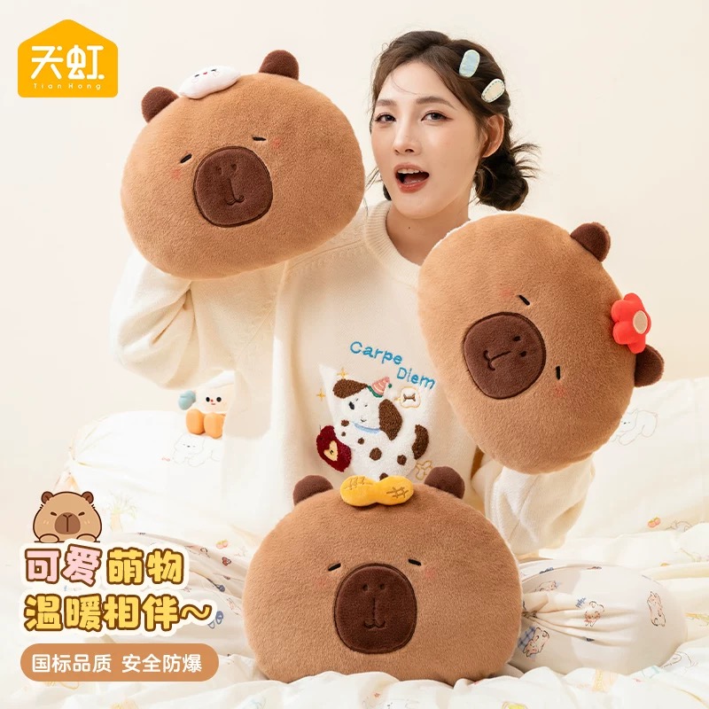 天虹国标电热水袋卡通毛绒电热暖手宝卡皮巴拉可拆洗水电分离暖宝