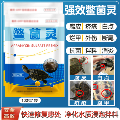 鳖菌灵乌龟腐皮甲鱼穿孔疥疮养殖