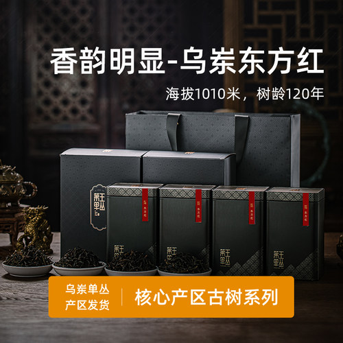 潮州凤凰单丛茶东方红