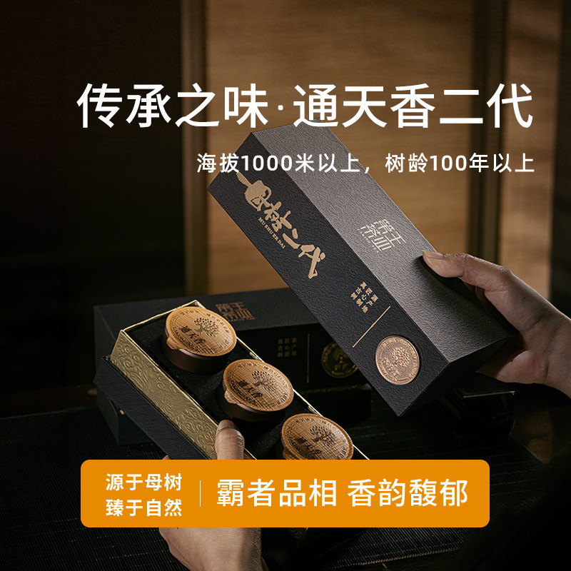 【母树二代-通天香】乌岽古树