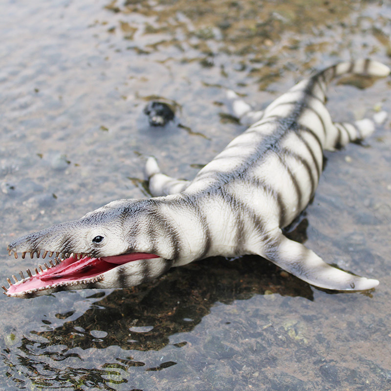 白垩纪恐龙世界克柔龙模型儿童玩具克诺龙长头龙仿真海洋动物套装